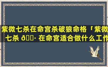 紫微七杀在命宫杀破狼命格「紫微七杀 🌷 在命宫适合做什么工作」